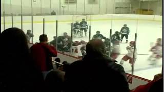 Ohio State vs Bemidji State womens hockey fight  11813 [upl. by Nolad]