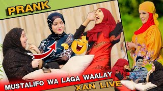 PRANK XAN LIVE  MUSTALIFO WAXBA NOOMA YAREYSAN 😂CAAY RUN AH KA WAAL DADKA CAANKA  TAXANE PART 13 [upl. by Crowe694]