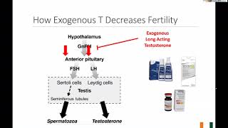 New Testosterone Nasal Gel Natesto Data Interview with Dr Ramasamy [upl. by Misha117]