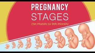 Early Pregnancy Symptoms in Hindi  गर्भावस्था के शुरुआती लक्षण  1mg [upl. by Aneek]