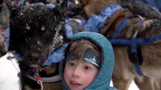 Recap The 2020 Iditarod Trail Sled Dog Race [upl. by Takeo]