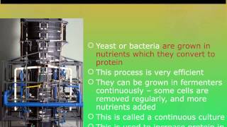 IGCSE 26 Microorganisms in the Food Industry extended [upl. by Georglana]