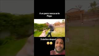 un perro jamás se le pega 🤦🏾‍♂️humor perros comedia memes funny comedy mrbeast duet [upl. by Gawen]