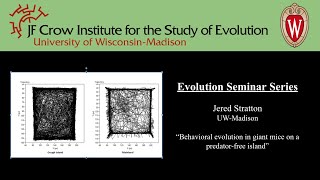 Jered Stratton Behavioral evolution in giant mice on a predatorfree island [upl. by Nagap]