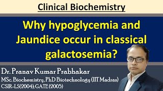 Why hypoglycemia and Jaundice occur in the case of Classical Galactosemia [upl. by Atilef]