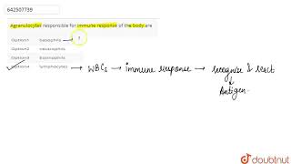 Agranulocytes responsible for immune response of the body are  CLASS 11  Body Fluids and Circu [upl. by Atsugua]