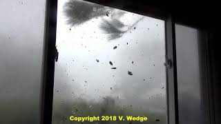 Cat 5 Hurricane Michael Callaway Florida [upl. by Eiromem873]