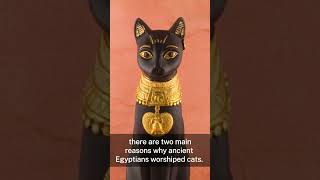 Why did ancient Egyptians worship cats shorts [upl. by Burn]