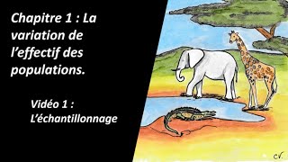 Chapitre 1  La variation de leffectif des populations vidéo 1 Révision bac général bio éco [upl. by Adonis]