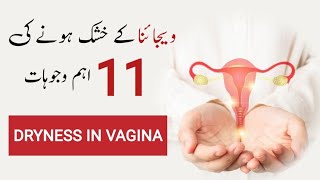 11 Causes Of Vaginal Dryness In HindiUrdu  Female Health  Pain During Intercourse [upl. by Rahman]