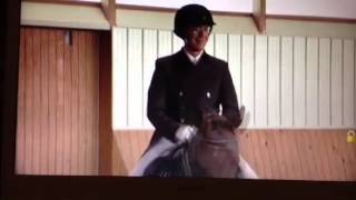 Stephen Colbert on Dressage [upl. by Aniarrol]