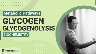 Glycogen and Glycogenolysis [upl. by Akinet798]