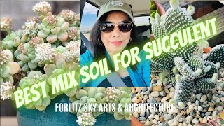 What type of soil mix is best for potted succulents [upl. by Hafeenah926]