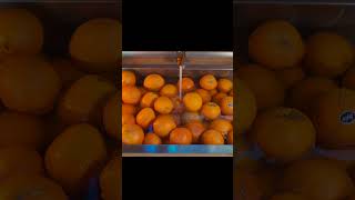 nous lavons les oranges [upl. by Apurk]