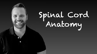 Spinal Cord Anatomy and Pathways [upl. by Goldy918]