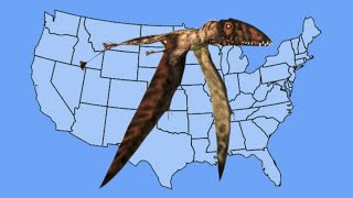 Pterodactyl or Flying Dinosaur in America [upl. by Remde]