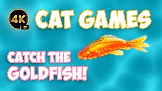 Video for Cats to Watch 🐟 4K Catch the Goldfish 🌟 [upl. by Winchell]