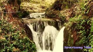 MOUNTAIN STREAMS WATERFALLS CALABRIA HD VIDEO [upl. by Qahsi]