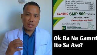 SMP 500  Ok Ba Na Gamot Para Sa Aso [upl. by Millard]