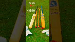 ❣️🏏Tere liye duniya chod di hai song cricket video cricket shorts trending viral reels viedo [upl. by Gillett]