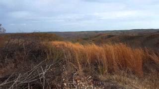 Eagle Creek WMA waynesboro TN [upl. by Anirat]