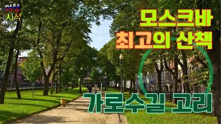 모스크바 최고의 산책 가로수길 고리 [upl. by Anhej653]