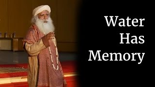 Water Has Memory  Sadhguru at IIT Madras Part V [upl. by Sylera]