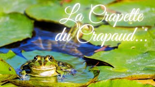 La Crapette du Crapaud [upl. by Atsugua378]