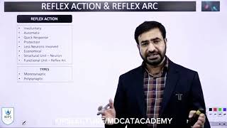 Reflex Action  Reflex Arc  Nervous Coordination  Kips lecture [upl. by Ng]