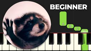 Pedro Pedro Raccoon Meme  Easy Piano Tutorial [upl. by Basso]