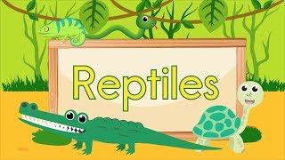 Reptile Song [upl. by Darbee]