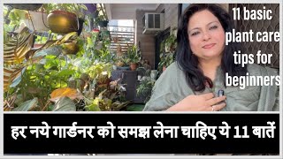 11 basic House plant care tips for beginners॥ 11 प्लांट केयर टिप्स नये गार्डनर के लिए॥Gardening vlog [upl. by Assiroc112]