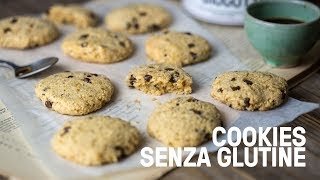 Cookies vegani senza glutine con gocce di cioccolato [upl. by Derriey952]