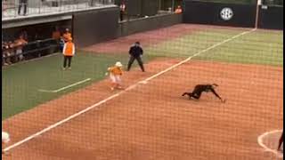 Taylor Pannell 3  University of Tennessee 2022 Fall Freshman Single [upl. by Livingston]