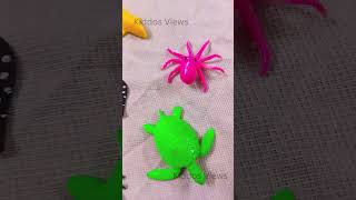 Sea animals shorts  satisfyingvideo satisfying satisfyingvideo shortsvideo kidsfun [upl. by Bonine]