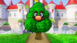 Hiding in plain sight in Mario Odyssey Hide n Seek [upl. by Timothy]