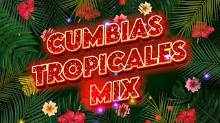 💃CUMBIAS TROPICALES MIX 2023✨VIEJITAS TROPICALES🎺ACAPULCO TROPICAL TROPICAL FLORIDA LOS KARKIS [upl. by Zennie911]