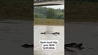 Opole news info [upl. by Agnot861]