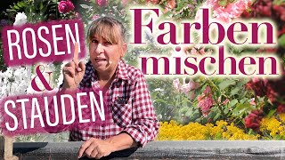 Wie Sie ROSEN amp STAUDEN zu den schönsten FARBKombinationen zusammen stellen  Landhaus Ettenbühl [upl. by Netloc775]