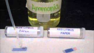 Testing Acids amp Bases on Litmus Paper [upl. by Lapotin]