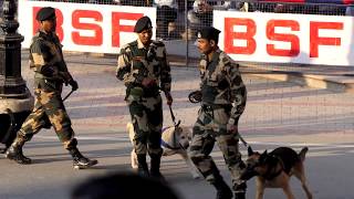 BSF perform with BSF theme song at Wagah border India in 4k ultra Hd [upl. by Uyerta]