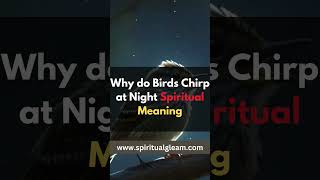 Why do Birds Chirp at Night Spiritual Meaning birdchirping spiritualgleam spiritualgleam [upl. by Percy]