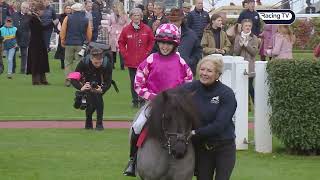 Early confusion and a great celebration in Shetland Pony Race [upl. by Ivanah]