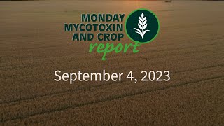 Monday Mycotoxin and Crop Report for September 4 2023 [upl. by Ayotan]