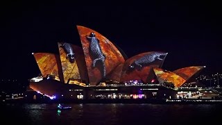 Vivid light festival 2016 Sydney Opera House full hd 50fps Australia [upl. by Ettezel]