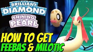 How to get FEEBAS amp MILOTIC in Pokemon Brilliant Diamond and Shining Pearl [upl. by Arnold]