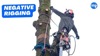 How to rig sections of trunk onto itself  Arborist Rigging techniques [upl. by Elatnahs]