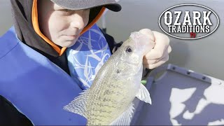 CRAPPIE TOURNAMENT  BONUS FOOTAGE  LAKE OF THE OZARKS  2024 [upl. by Farley457]