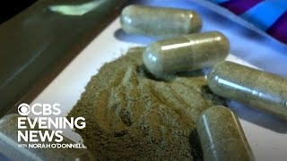 Kratom faces scrutiny over health risks [upl. by Avilla]