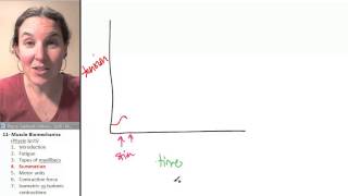 Biomechanics 4 Summation [upl. by Lyrem]